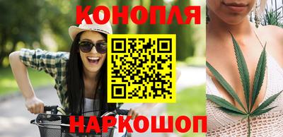 прущие грибы Пугачёв