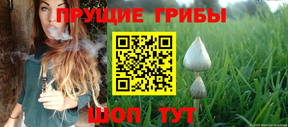 Галлюциногенные грибы GOLDEN TEACHER Светлоград