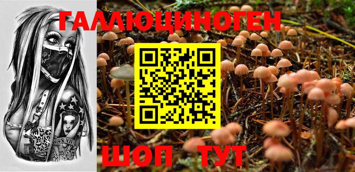 сколько стоит  Вход с VPN  Светлоград  Галлюциногенные грибы мухоморы  Псилоцибиновые грибы Psilocybine cubensis 