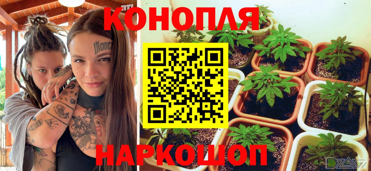 Марихуана сатива  Шишки марихуана LSD WEED  Вход с VPN  Светлоград  Каннабис индика 